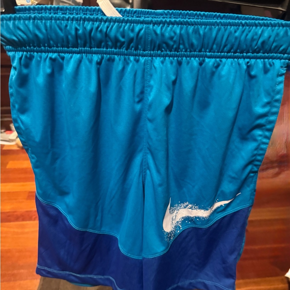 Nike Teal and Navy Sports Shorts